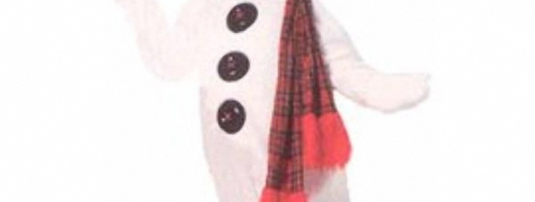 The History and Significance of Monster Mascot Costumes