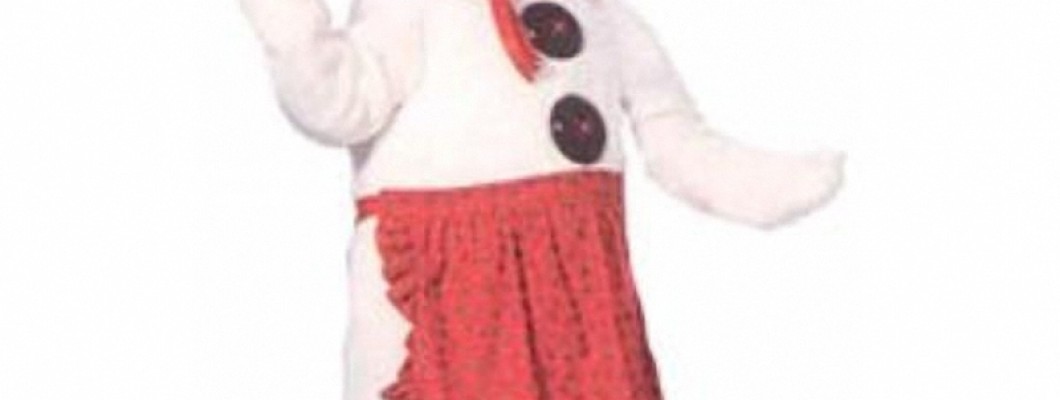 Cheap Mascot Costumes for College Campuses