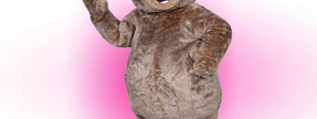 The Psychology Behind Effective Character Mascot Costumes