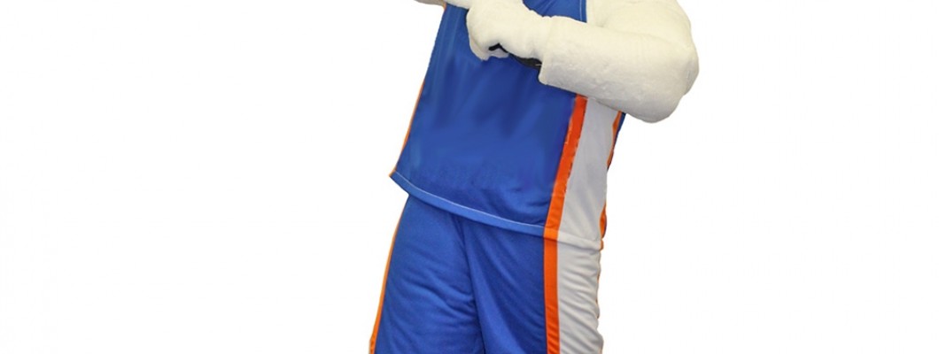 Transforming Everyday Objects into People Mascot Costumes