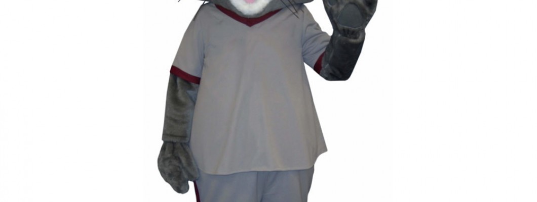 The Ultimate Guide to Chipmunk Mascot Etiquette