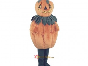 How to Organize a Lion Mascot Costume Contest