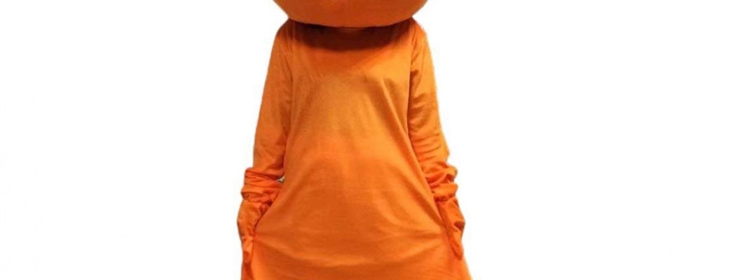 Economical Mascot Costumes for Advertising Campaigns