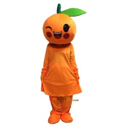Orange Mascot Costume Cosplay