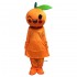 Orange Mascot Costume Cosplay