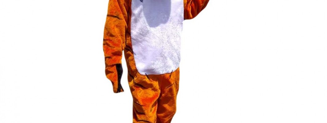 Affordable Mascot Costumes for Community Parades