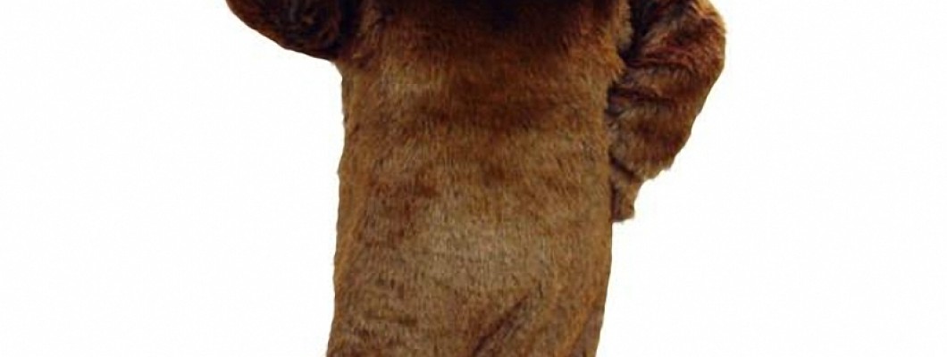 Famous Celebrities Who Have Wore Monkey Mascot Costumes
