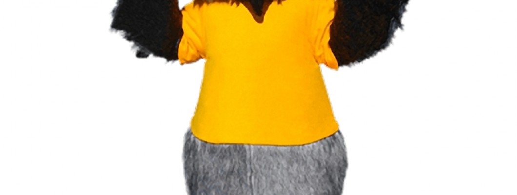 Customizing Your Squirrel Mascot Costume: Tips and Tricks