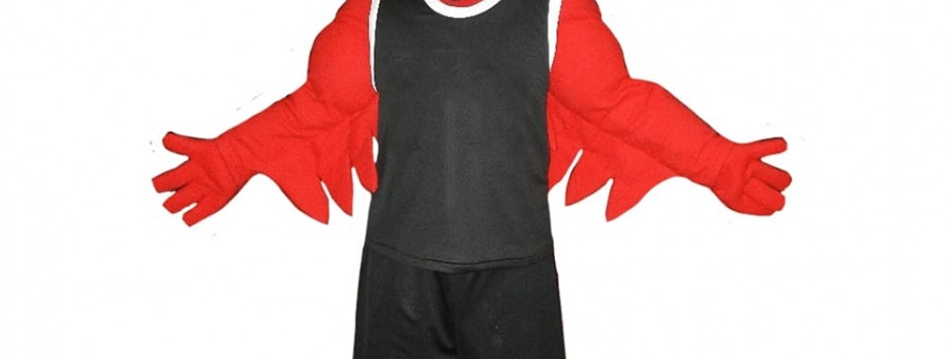 How Schools Can Benefit from Having a Horse Mascot Costume