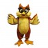 Owl Mascot Costume Cosplay