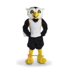Owl Mascot Costume Cosplay