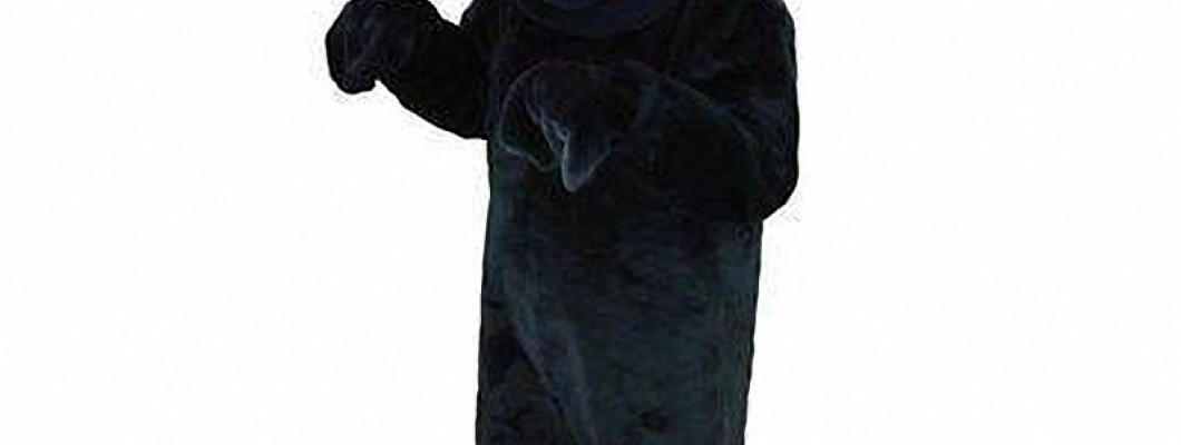 Adorable Dog Mascot Costumes for Holiday Parties