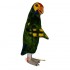 Parrot Mascot Costume Cosplay