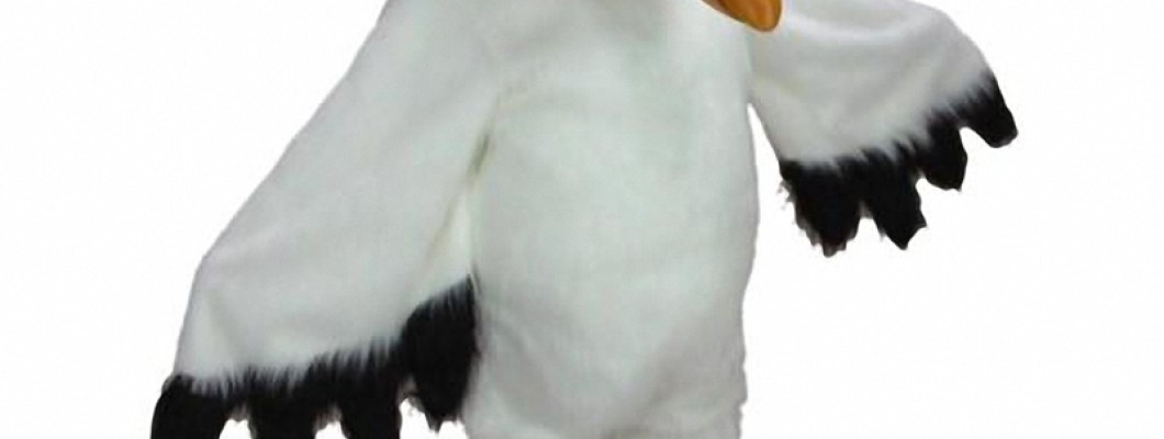 How to Care for Your New Mascot Costume