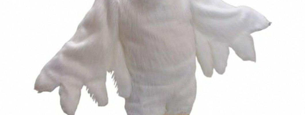 How to Maintain and Clean Your Bear Mascot Costume Efficiently