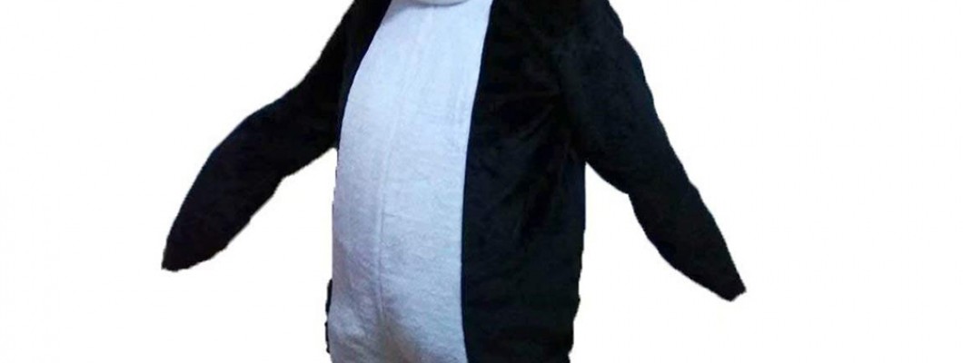 Animal Rights and the Use of Cat Mascot Costumes