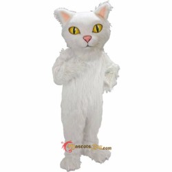 Persian Cat Mascot Cosplay