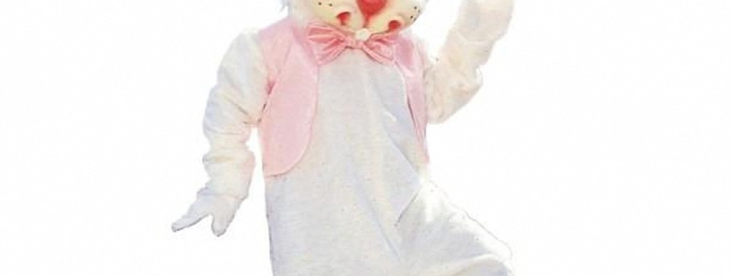 Character Mascot Costumes: A Guide for Event Planners