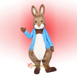 Peter Rabbit Mascot Costume Cosplay