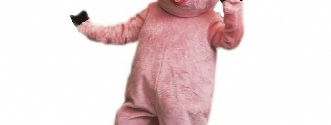 Interview with a Professional Leopard Mascot