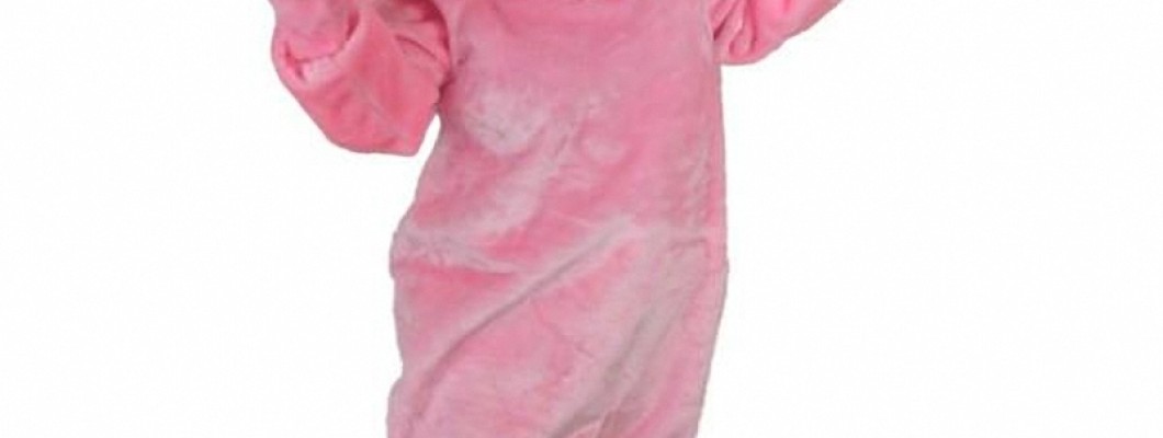 Animal Mascot Etiquette: Tips for Wearing a Pig Costume