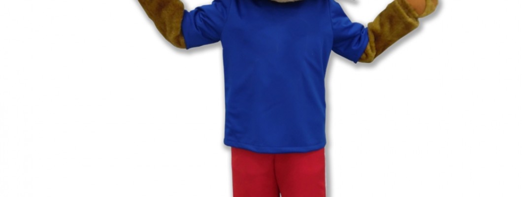 Safety Tips for Wearing Bunny Mascot Costumes at Public Events