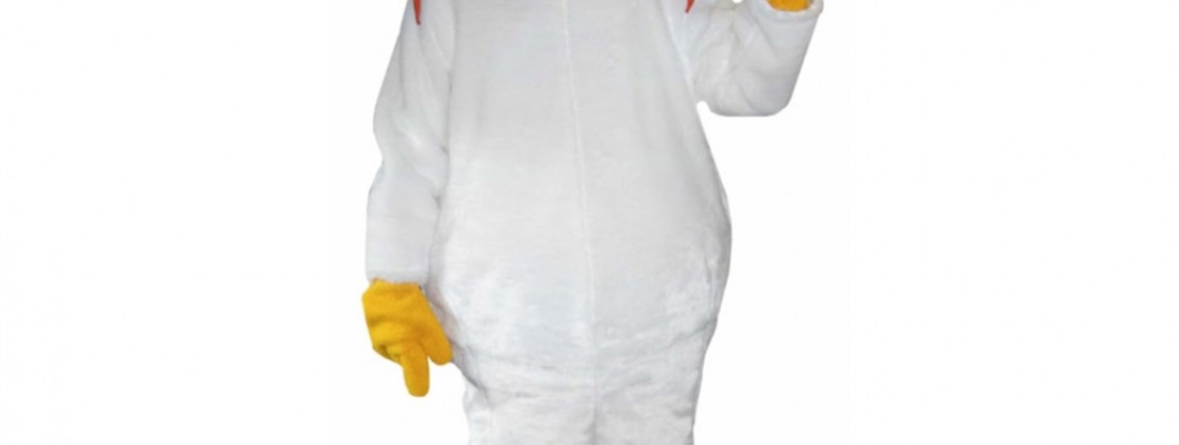 Interview with a School Mascot Costume Designer