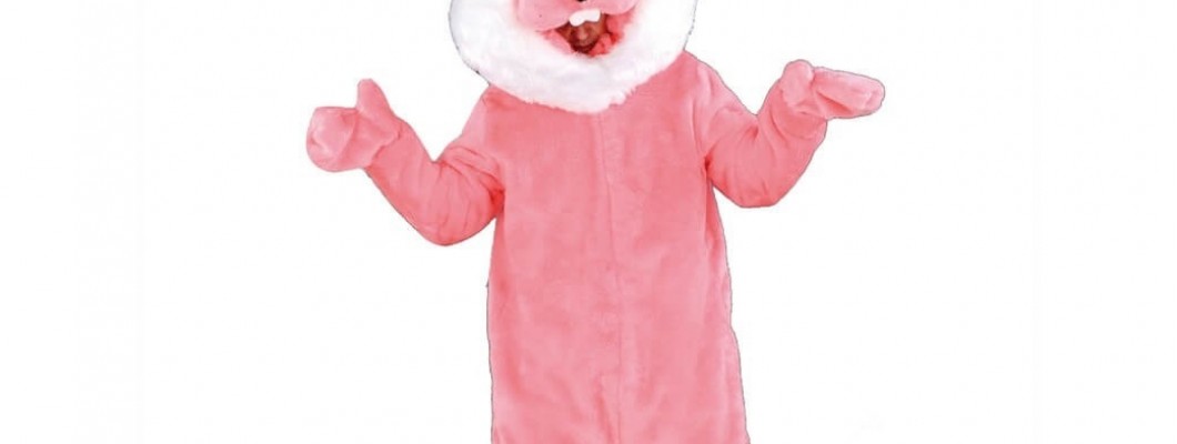 Bird Mascot Costumes: A Creative Outlet for Artists and Designers