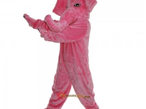 Why Every Sports Team Needs a Leopard Mascot Costume