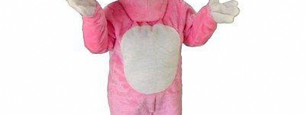 Why Squirrel Mascots are a Hit at School Events