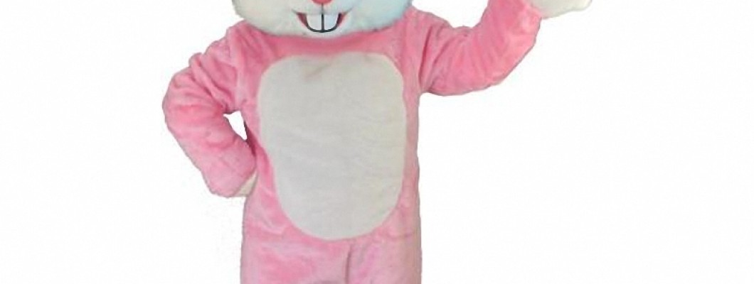 The Best Chipmunk Mascot Costumes on Amazon: A Review