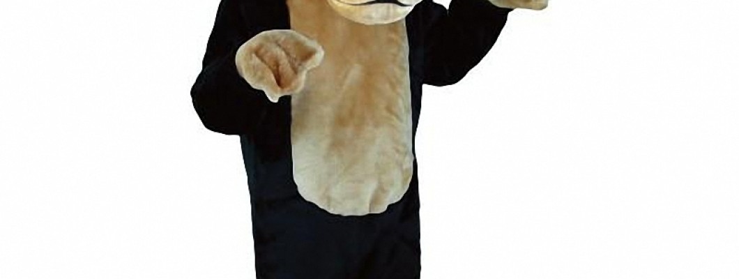 The Best Tiger Mascot Costumes for Halloween