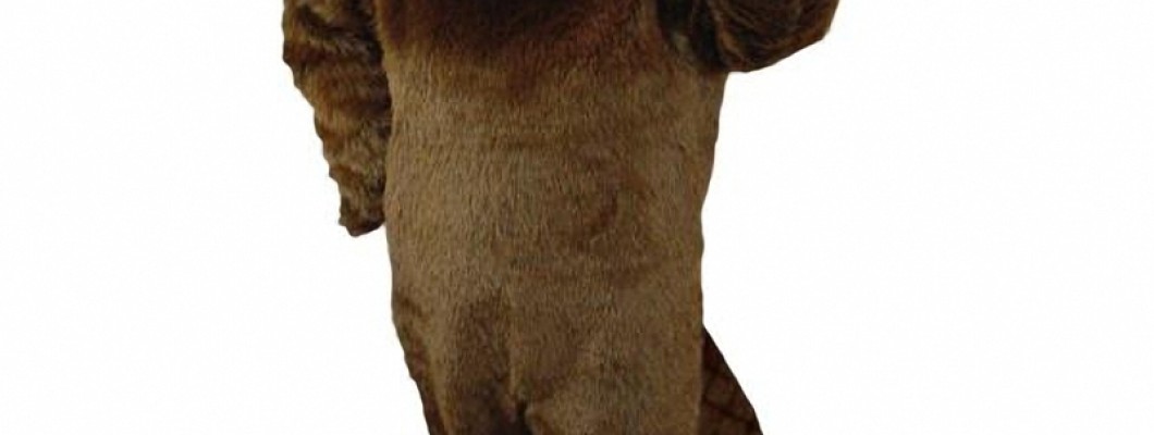 How to Customize Your Duck Mascot Costume for Maximum Impact