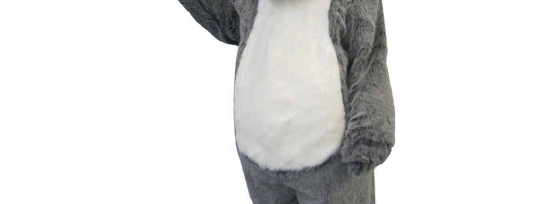 Environmentally Friendly Options for School Mascot Costumes