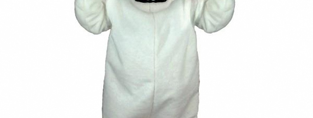 Where to Buy the Best Chicken Mascot Costumes Online