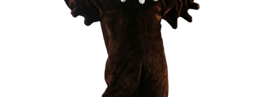 The Legal Aspects of Using Eagle Mascot Costumes for Commercial Purposes