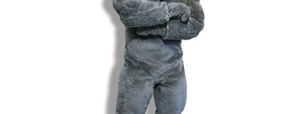 Interview with a Marketing Expert: Using a Lion Mascot Costume to Boost Brand Awareness