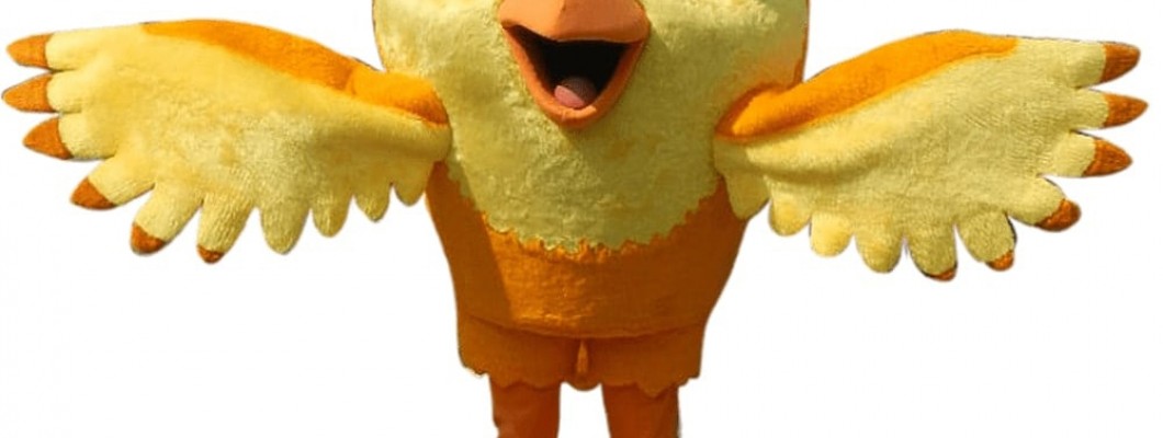 Why Every School Needs a Mascot Costume