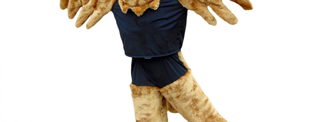 From Concept to Reality: The Making of an Elephant Mascot Costume