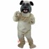 Pug Mascot Costume Cosplay