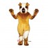 Pug Mascot Costume Cosplay