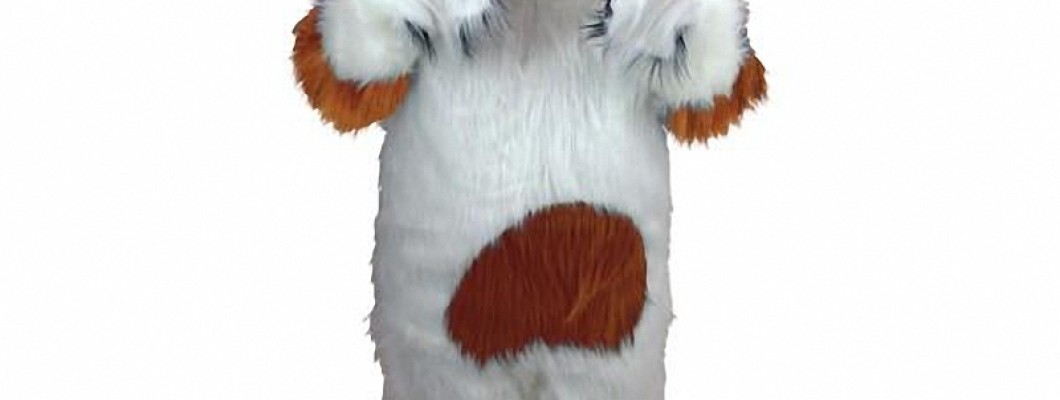 Pollination Power: Bee-Themed Mascot Costumes for Eco-Events