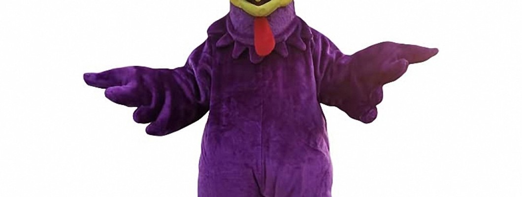 Raccoon Mascot Costumes: A Case Study in Effective Event Promotion