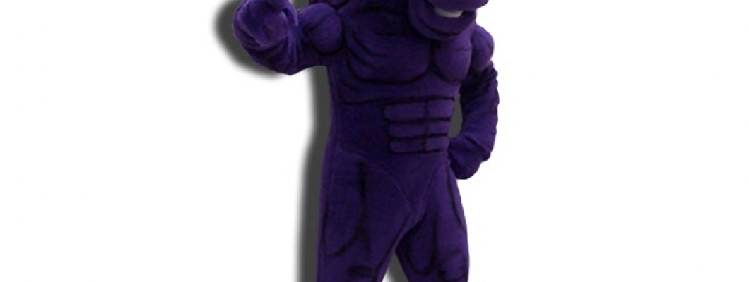 The Evolution of Jaguar Mascot Costumes: From Concept to Reality