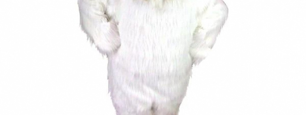 The Psychology of Wearing a Horse Mascot Costume