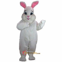 Rabbit Mascot Costume Cosplay