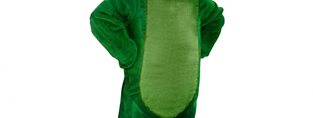 How to Design a Unique Wolf Mascot Costume