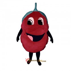Raspberry (Bodysuit not included) Mascot Costume Cosplay