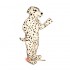 Realistic Dalmatian Mascot Costume Cosplay