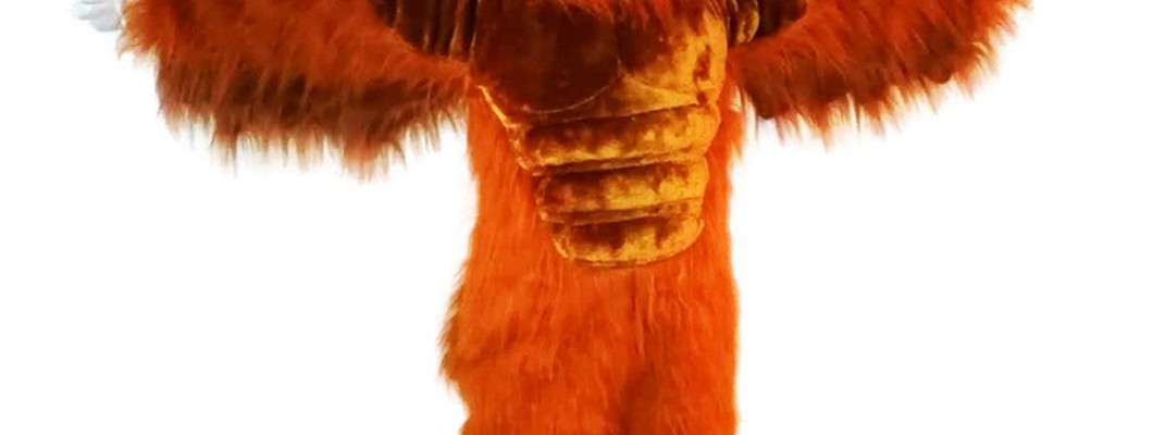 The Power of Costume: How Cougar Mascots Become Iconic